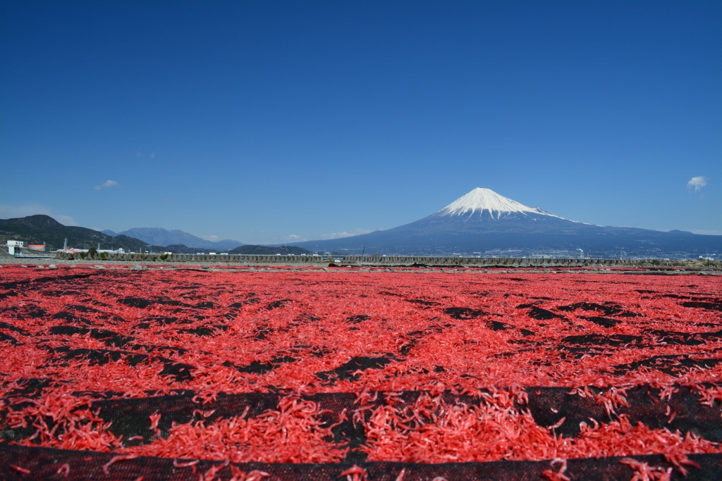 1503_DSC_2059 (1024x683)