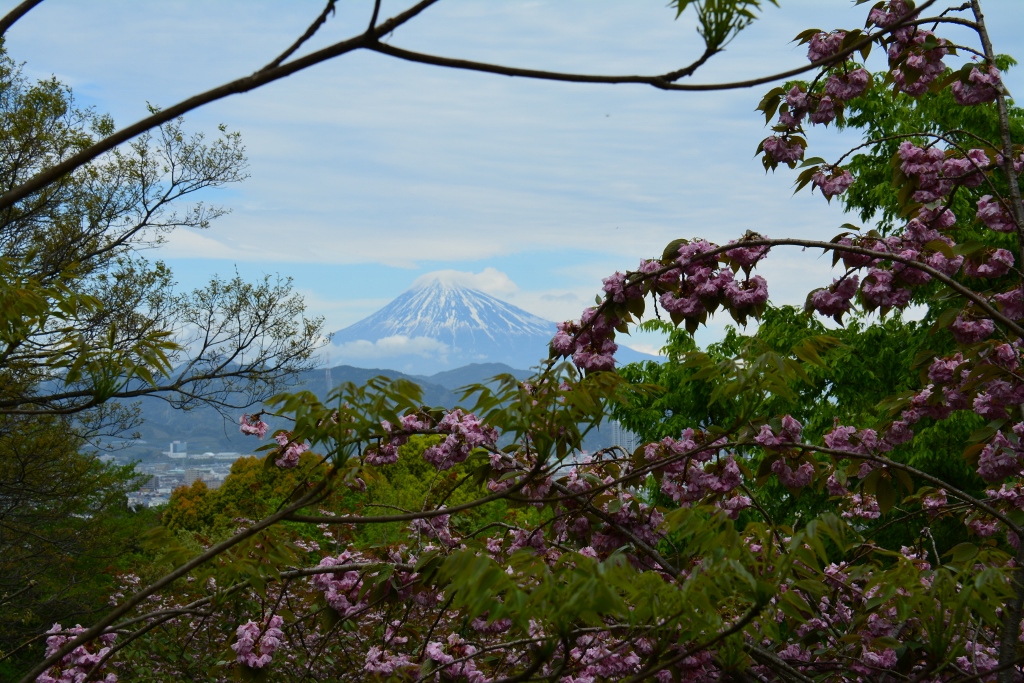1504_富士山